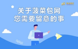 关于菠菜包网您需要留意的事