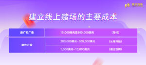 建立线上赌场的主要成本