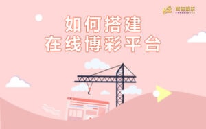 博彩平台搭建实现盈利梦想的全面指南