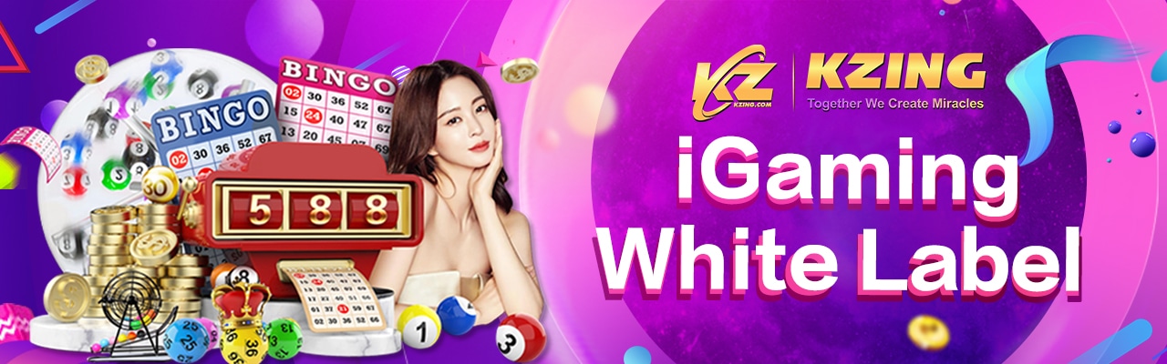 iGaming White Label