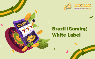 Brazil online gambling market insights and White Label solution