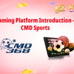 cmd游戏平台介绍封面_400x250_en