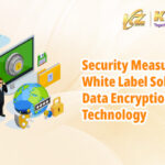 DW_Article_4_Security_Measures_Data_Encryption文章封面_en_400x250[1]