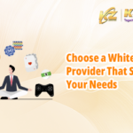 DW_Article_6_White_Label_Provider_That_Suits_Your_Needs文章封面_en_400x250[1]