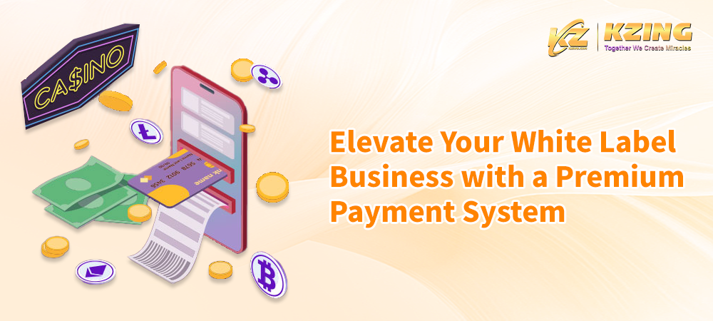Elevate Your White Label Business with a Premium Payment System - Kzing