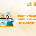 DW_Article_7_Security_Measures_Funds_Segregation文章封面_en_400x250[1]