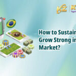 How to Sustain and Grow Strong in Brazil Market文章封面_en_400x250