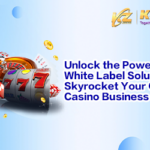 Unlock the Power of White Label Solutions文章封面_en_400x250