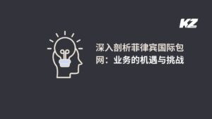 深入剖析菲律宾国际包网：业务的机遇与挑战