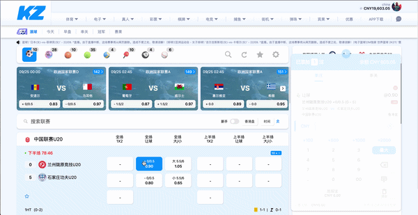 Kzing Premium WEB Template